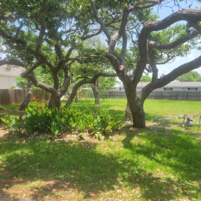 702 E KING ST, ROCKPORT, TX 78382, photo 3 of 9