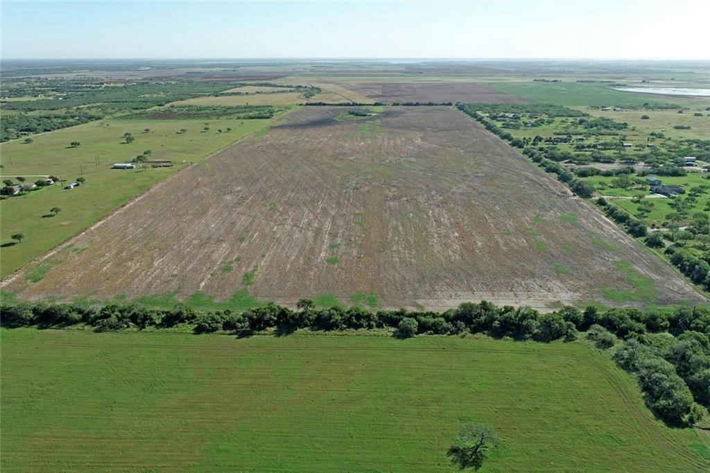 10 CR 2215, KINGSVILLE, TX 78363, photo 1 of 20